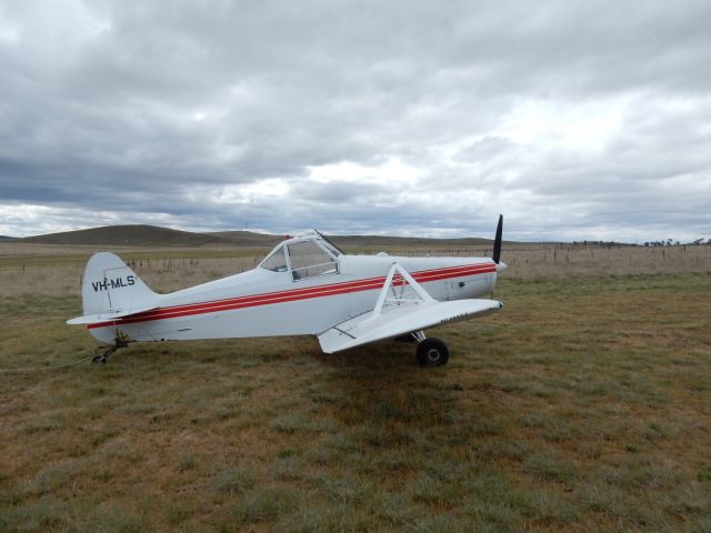 Piper PA-25 Pawnee (VH-MLS)
