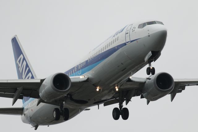 Boeing 737-800 (JA58AN) - 19 September 2015:NG-HKD.