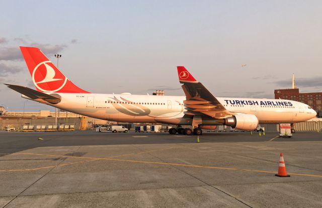 Airbus A330-300 (TC-LNE) - Almost ready to go