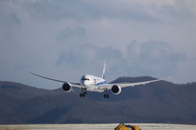 Boeing 787-8 (JA818A) - November 19th 2017:HND-HKD.