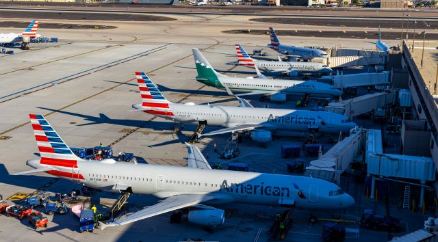 Boeing 737-800 (N916NN) - American Airlines planes parked at the gate at PHX on 10/22/22. Taken with a Canon 850D and Tamron 70-200 G2 lens. 99 MP stitched panorama.