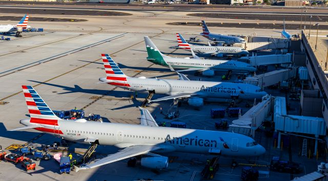 Boeing 737-800 (N916NN) - American Airlines planes parked at the gate at PHX on 10/22/22. Taken with a Canon 850D and Tamron 70-200 G2 lens. 99 MP stitched panorama.