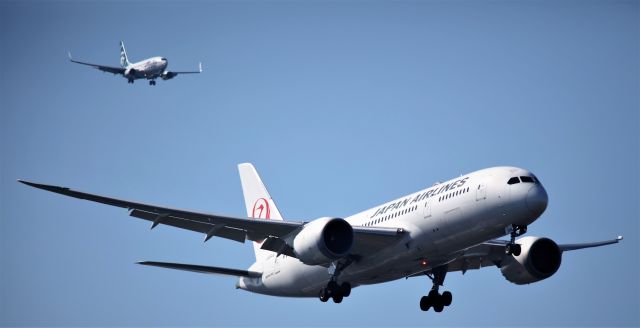 Boeing 787-8 (JA844J) - 9-20-2022