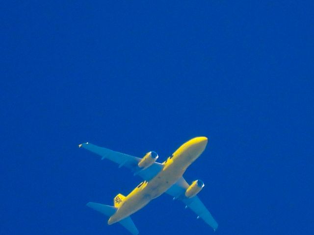 Airbus A319 (N516NK) - NKS313br /DTW-DFWbr /06/23/2