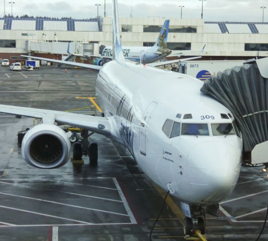 Boeing 737-900 (N309AS)