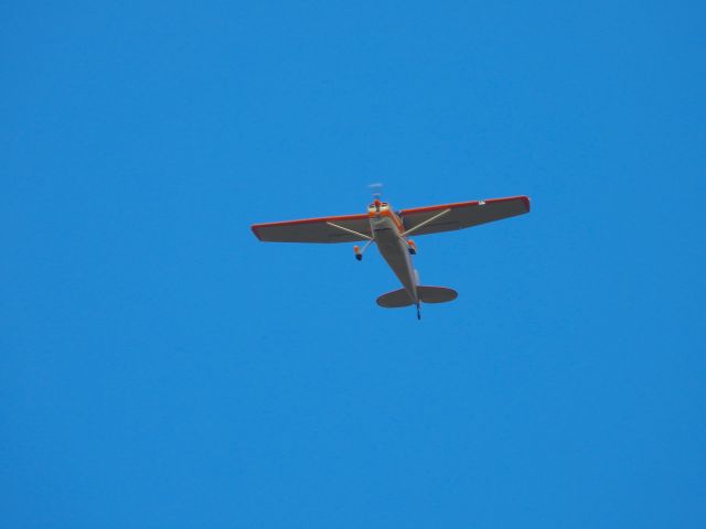 Cessna 170 (N3233A) - 08/09/21