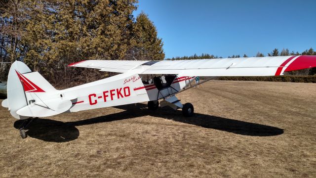 Piper L-21 Super Cub (C-FFKO) - Visiting Puslinch 