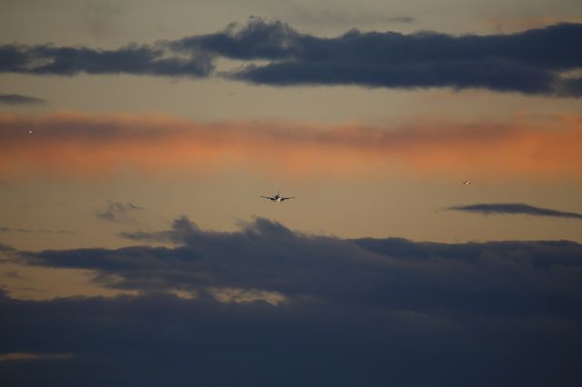 Boeing 737-800 (N562AS)