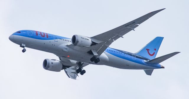 OO-LOE — - A beautiful TUI 787 flying a cargo charter into GSP.