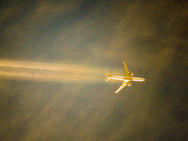 Airbus A350-1000 (A7-ANK)