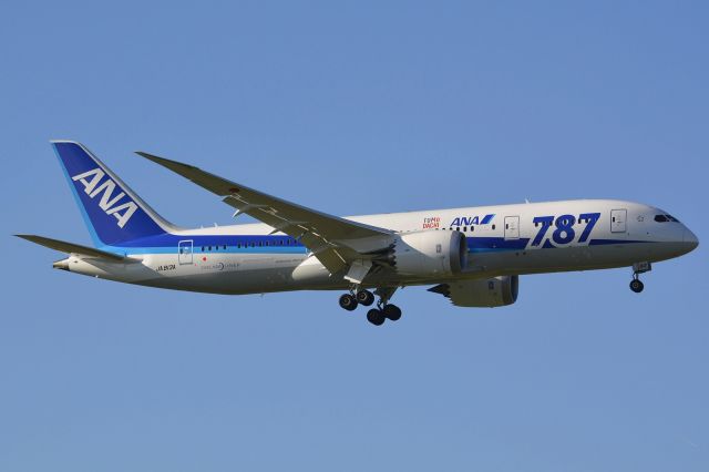 Boeing 787-8 (JA813A)