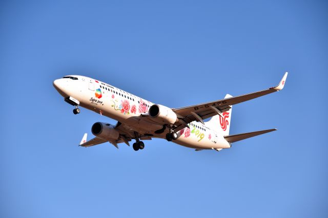 Boeing 737-800 (B-5425) - Approaching 01