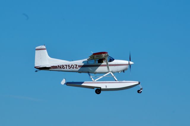 Cessna Skywagon (N850Z)