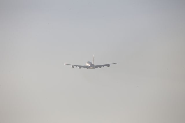 Airbus A380-800 (A6-EVE)
