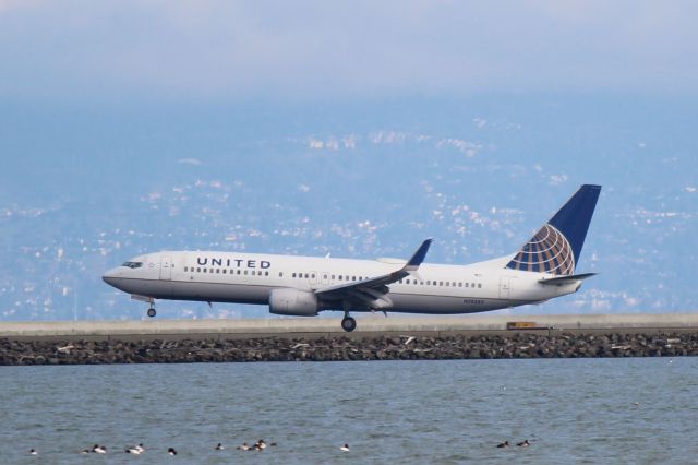 Boeing 737-800 (N78285)