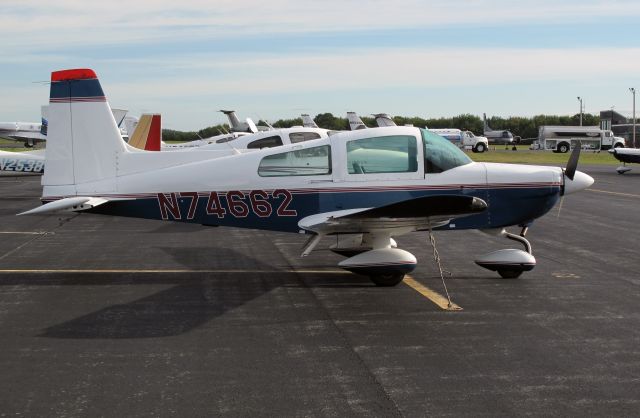Grumman AA-5 Tiger (N74662) - Grummans beat any Cessna and Piper aircraft in performance.