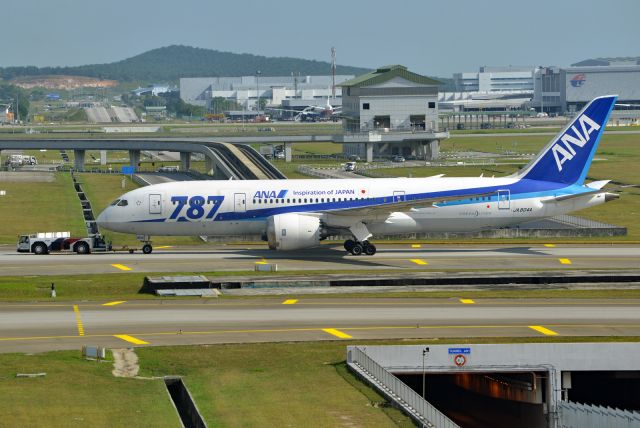 Boeing 787-8 (JA804A)
