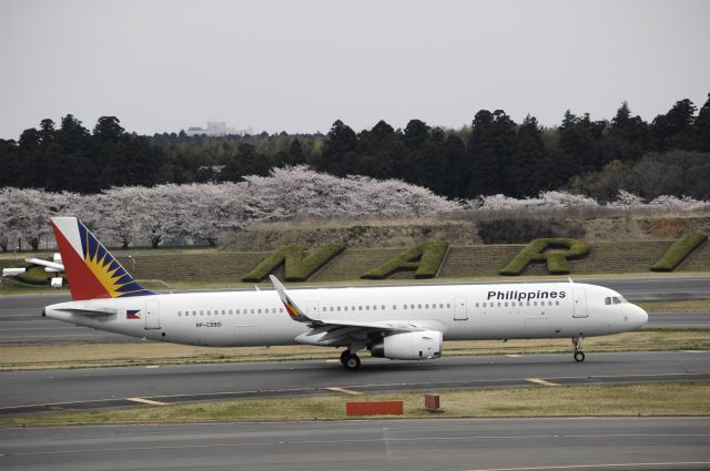 Airbus A321 (RP-C9901) - Taxing at Narita Intl Airport on 2017/04/10
