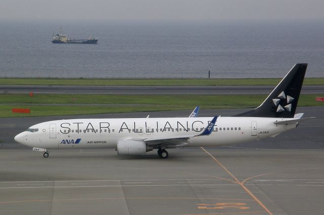 Boeing 737-800 (JA51AN)