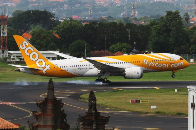 Boeing 787-8 (9V-OFJ)