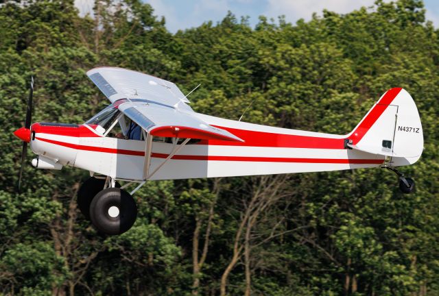 Piper L-21 Super Cub (N4371Z)