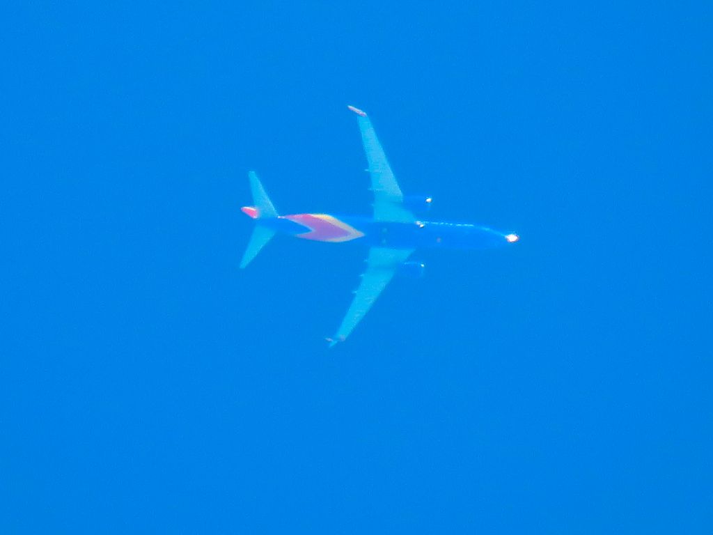 Boeing 737-800 (N8539V)