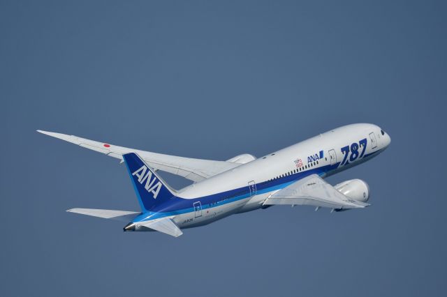 Boeing 787-8 (JA813A)