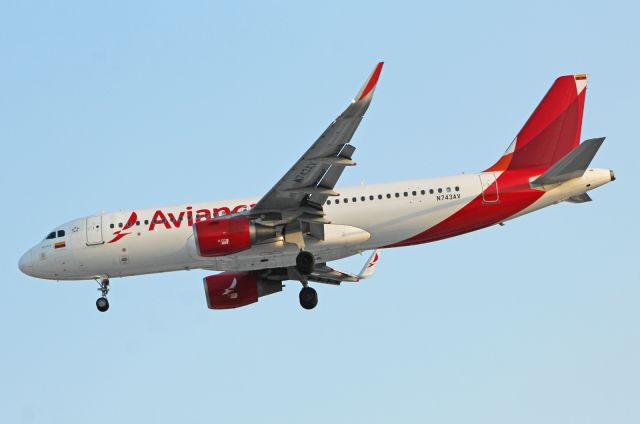 Airbus A320 (N743AV) - Avianca / Airbus A320-214 / MSN 6739 / N743AV / MMMX 02/2020