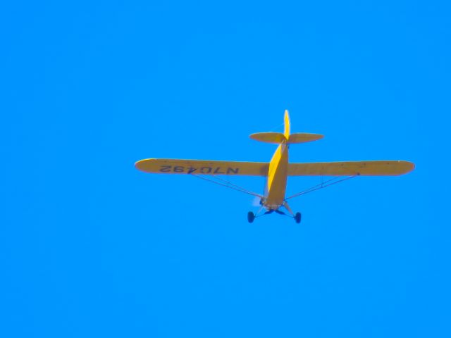 Piper L-21 Super Cub (N70492)