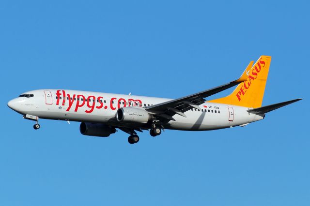 Boeing 737-800 —