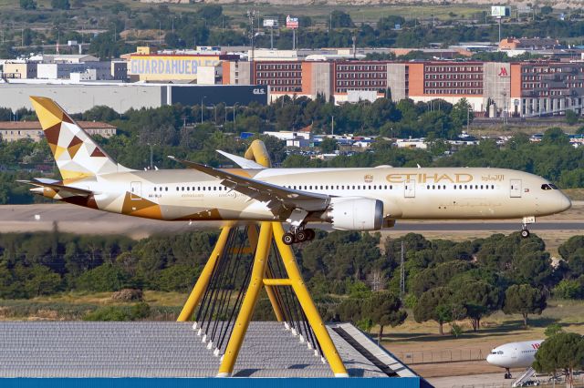 Boeing 787-9 Dreamliner (A6-BLO)