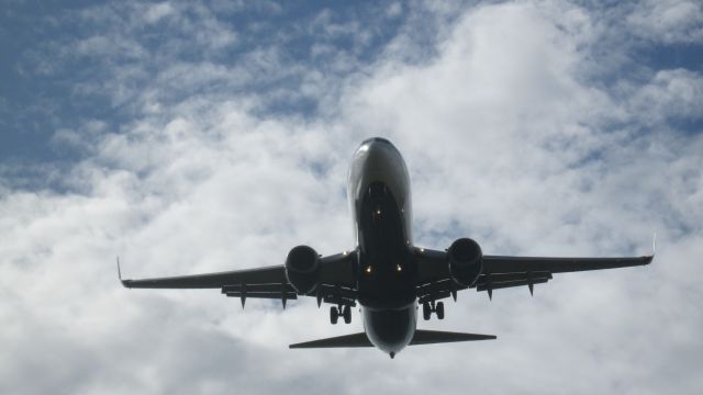 Boeing 737-800 (N3736C)