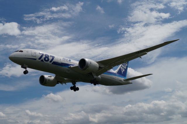 BOEING 767-300 (JA810A)