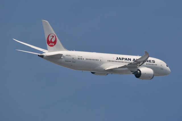 Boeing 787-8 (JA828J) - 2013/6/1