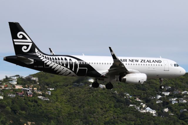 Airbus A320 (ZK-OXG) - on 5 November 2016