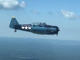 N2983 thumbnail