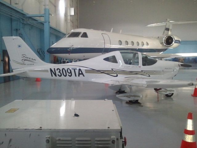 TECNAM Sierra (N309TA)