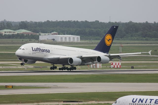 Airbus A380-800 (D-AIMG) - Airbus A380