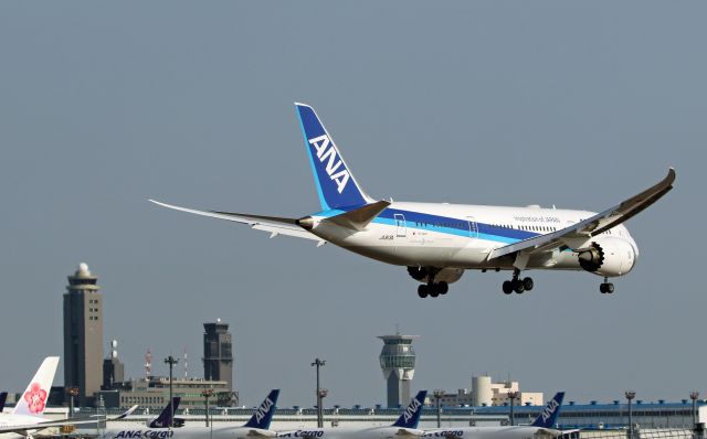 Boeing 787-8 (JA813A) - 成田さくらの山で撮影