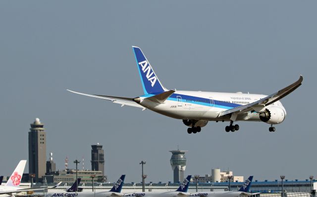 Boeing 787-8 (JA813A) - 成田さくらの山で撮影