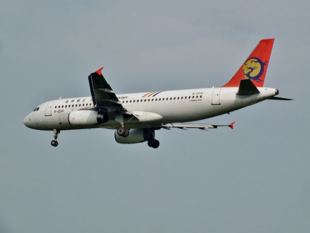 Airbus A320 (B-22311) - トランスアジア航空br /TransAsia Airways