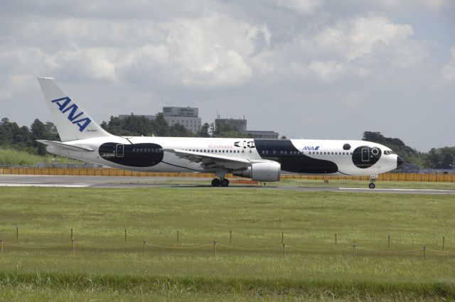 BOEING 767-300 (JA606A) - Departure at Narita Intl Airport 16R on 2010/7/18 Fly Panda c/s