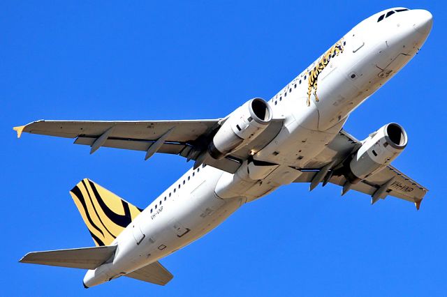 Airbus A320 (VH-VNP) - TIGER AIRWAYS AIRBUS A320-232 - REG VH-VNP (CN 2952) - ADELAIDE INTERNATIONAL SA. AUSTRALIA - YPAD (09/11/2014)PHOTOGRAPH TAKEN WITH A CANON 550D AND 300MM CANON LENSE.