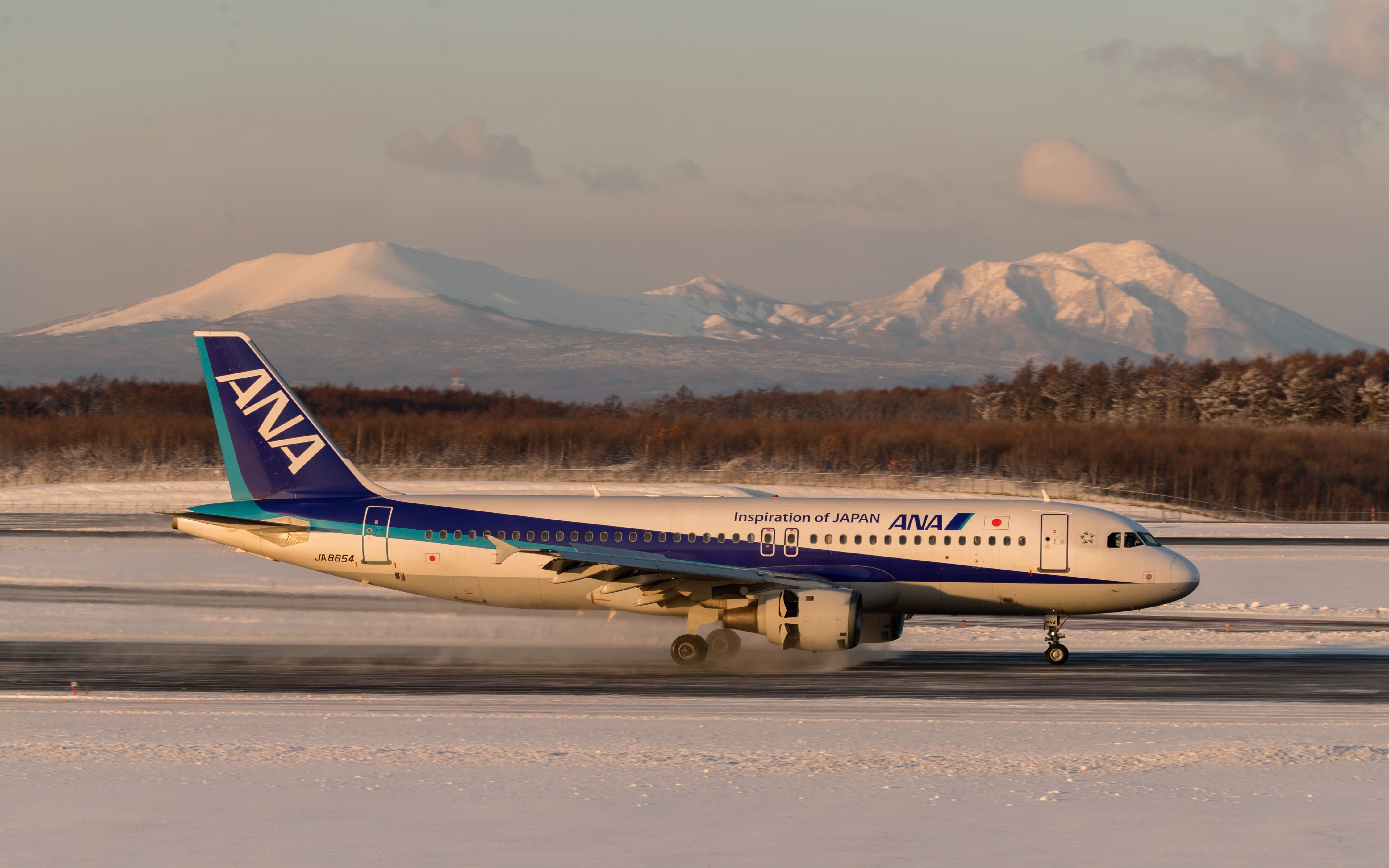 Airbus A320 (JA8654) - All Nippon Airways [NH/ANA] / Airbus A320-211br /Jan.07.2018 New Chitose Airport [CTS/RJCC] JAPAN