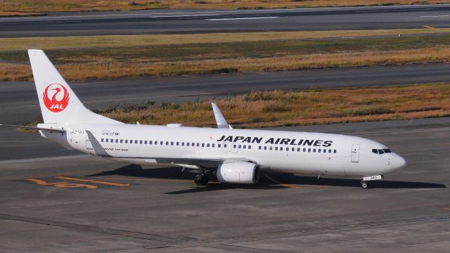 Boeing 737-800 (JA312J)