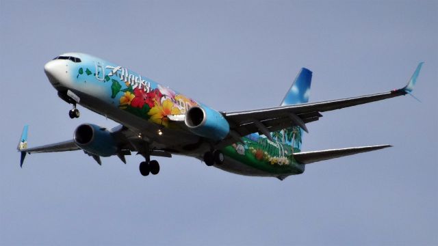 Boeing 737-800 (N560AS) - N560AS Alaska Airlines Boeing 737-800 - cn 35179 / ln 2072br /First Flight * Sep 2006br /Age 8.7 Yearsbr /2015-06-20 AS402 Portland (PDX) San Jose (SJC) 16:10-->Landed 17:53