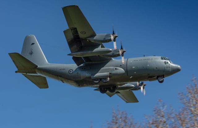 Lockheed C-130 Hercules (ANZ7004)