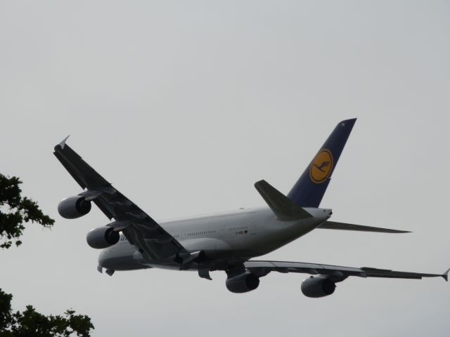 Airbus A380-800 (D-AIML) - Tree-top level!