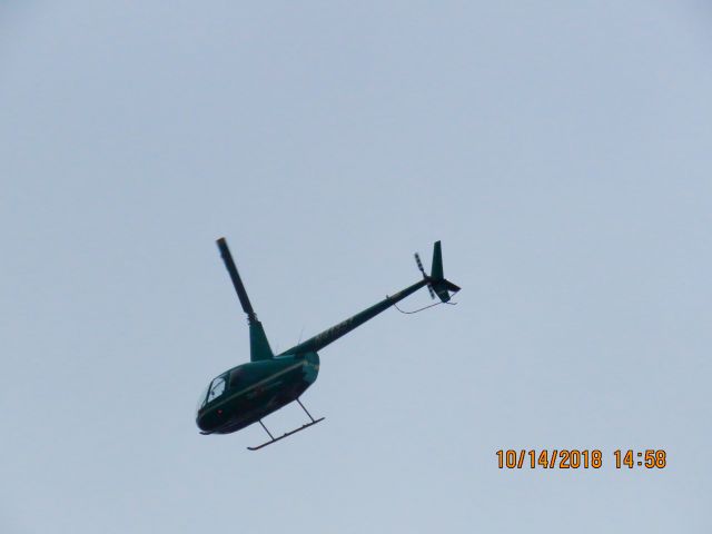 Robinson R-44 (N41351)