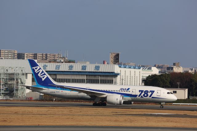 Boeing 787-8 (JA803A)
